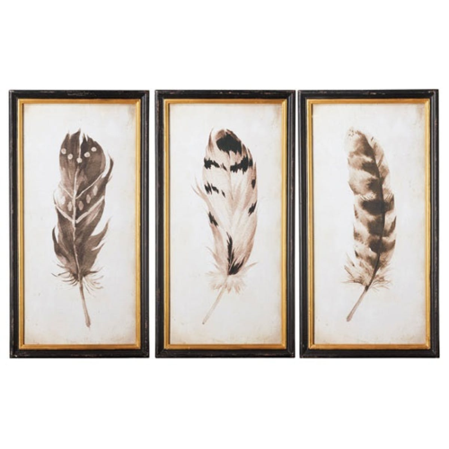Pluma Set of 3 framed prints, W42 x H80cm, Black/White