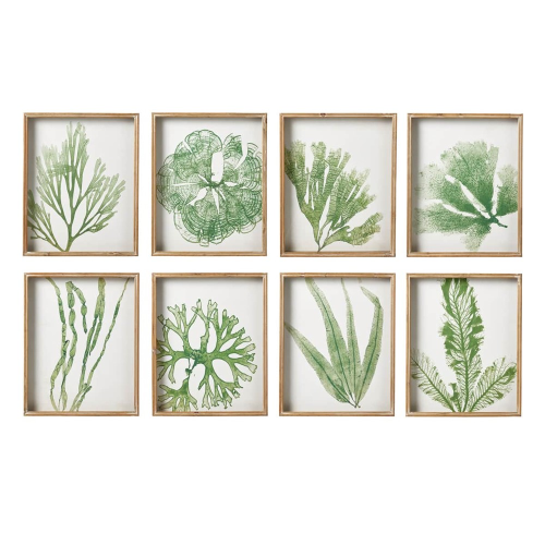  Set of eight coral & seaweed prints, H55 x W44cm, Green