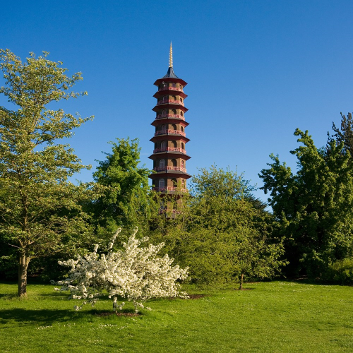  Private tour of the Royal Botanic Gardens at Kew and Michelin star dining for two
