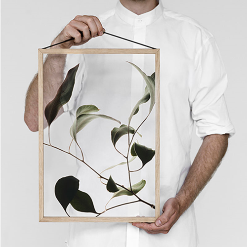 Floating Leaves 09 - A4 FSC Print, 30 x 21cm