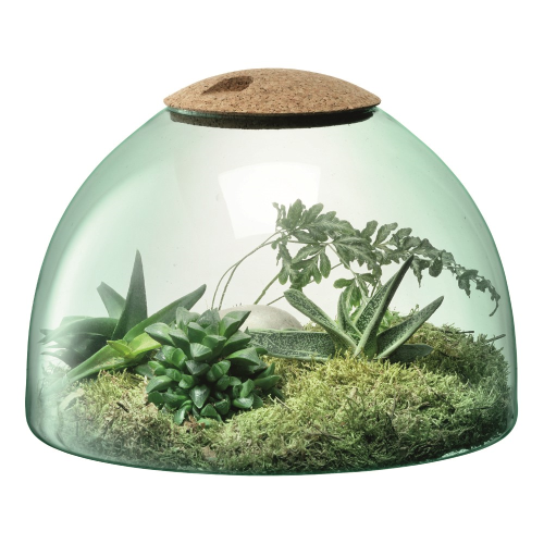 Canopy Garden terrarium, H22 x W31cm, recycled glass and cork