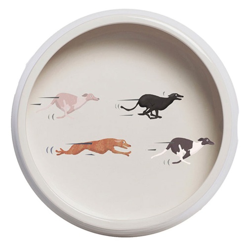 Fast Dogs Dog Bowl, H6 x W18cm, White